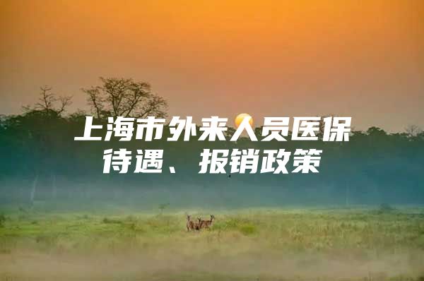 上海市外来人员医保待遇、报销政策