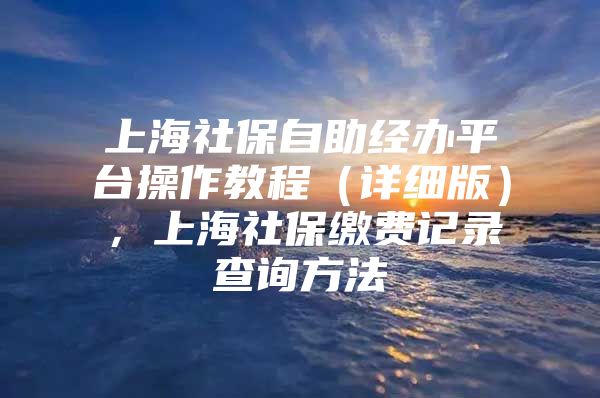 上海社保自助经办平台操作教程（详细版），上海社保缴费记录查询方法