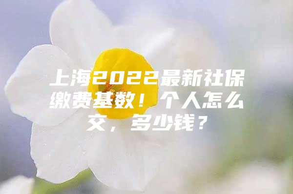 上海2022最新社保缴费基数！个人怎么交，多少钱？