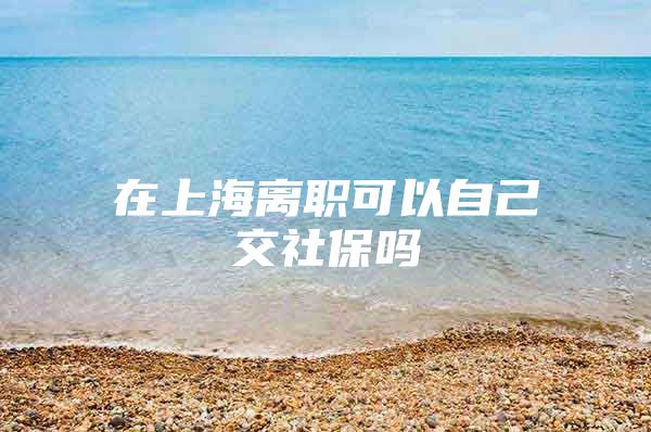 在上海离职可以自己交社保吗