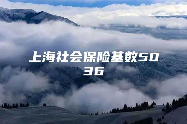 上海社会保险基数5036