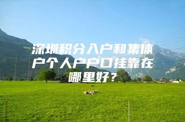 深圳积分入户和集体户个人户户口挂靠在哪里好？