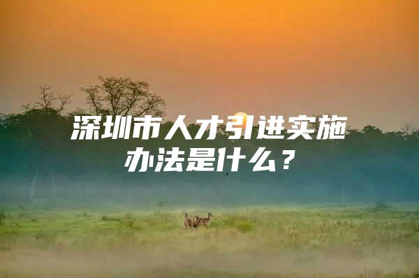 深圳市人才引进实施办法是什么？