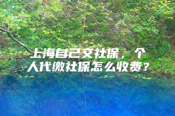 上海自己交社保，个人代缴社保怎么收费？