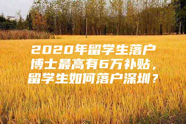 2020年留学生落户博士最高有6万补贴，留学生如何落户深圳？