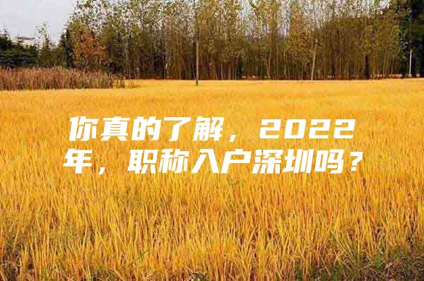 你真的了解，2022年，职称入户深圳吗？