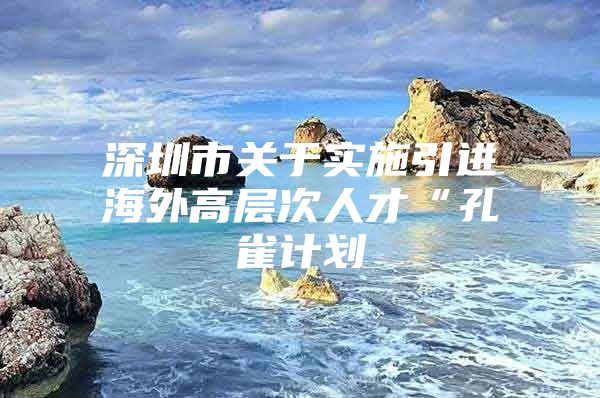 深圳市关于实施引进海外高层次人才“孔雀计划