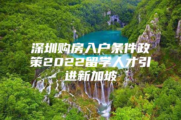 深圳购房入户条件政策2022留学人才引进新加坡