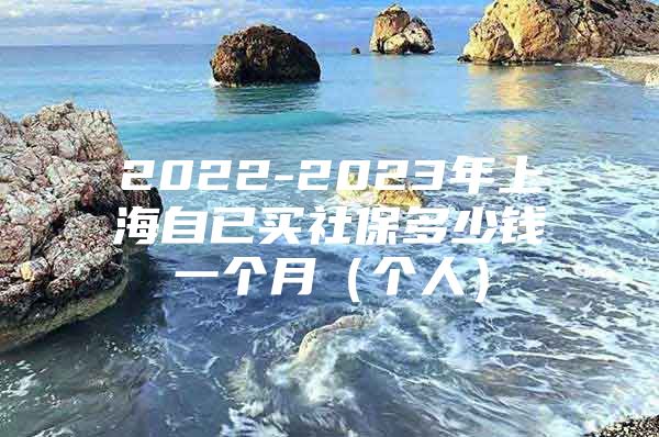 2022-2023年上海自已买社保多少钱一个月（个人）