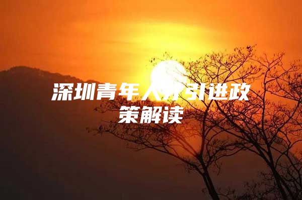 深圳青年人才引进政策解读