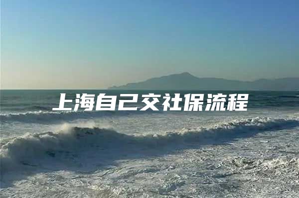 上海自己交社保流程