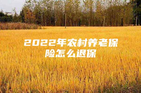 2022年农村养老保险怎么退保