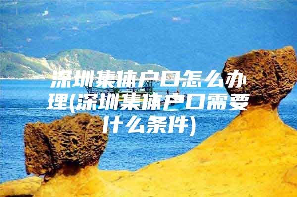 深圳集体户口怎么办理(深圳集体户口需要什么条件)