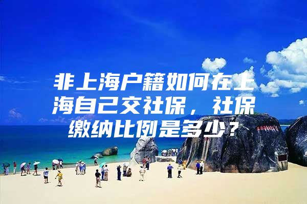 非上海户籍如何在上海自己交社保，社保缴纳比例是多少？