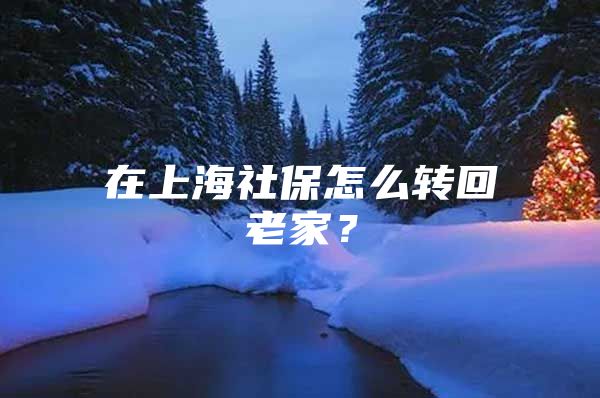 在上海社保怎么转回老家？