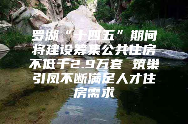 罗湖“十四五”期间将建设筹集公共住房不低于2.9万套 筑巢引凤不断满足人才住房需求