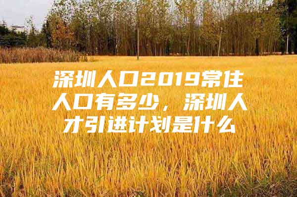 深圳人口2019常住人口有多少，深圳人才引进计划是什么