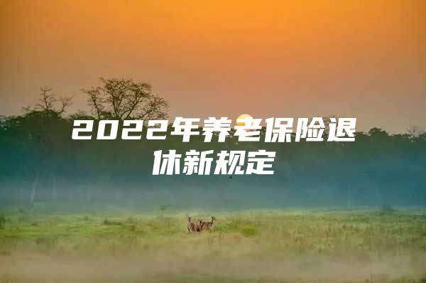 2022年养老保险退休新规定