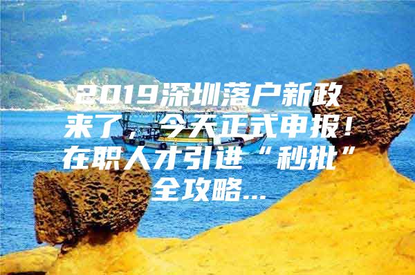 2019深圳落户新政来了，今天正式申报！在职人才引进“秒批”全攻略...