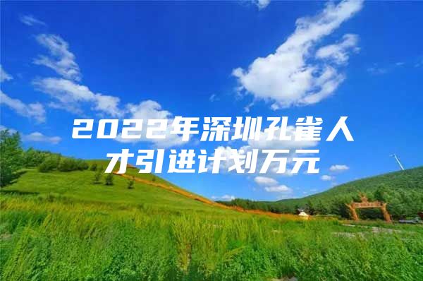 2022年深圳孔雀人才引进计划万元