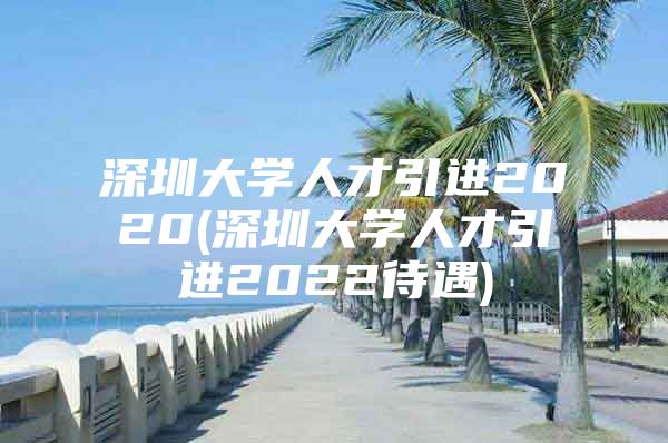 深圳大学人才引进2020(深圳大学人才引进2022待遇)