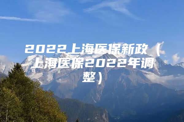 2022上海医保新政（上海医保2022年调整）