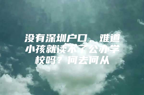 没有深圳户口，难道小孩就读不了公办学校吗？何去何从