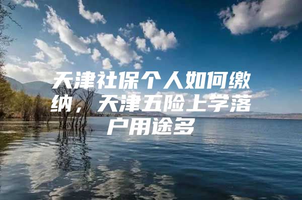 天津社保个人如何缴纳，天津五险上学落户用途多