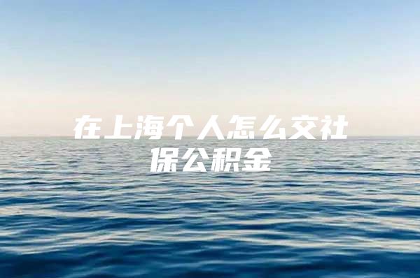 在上海个人怎么交社保公积金