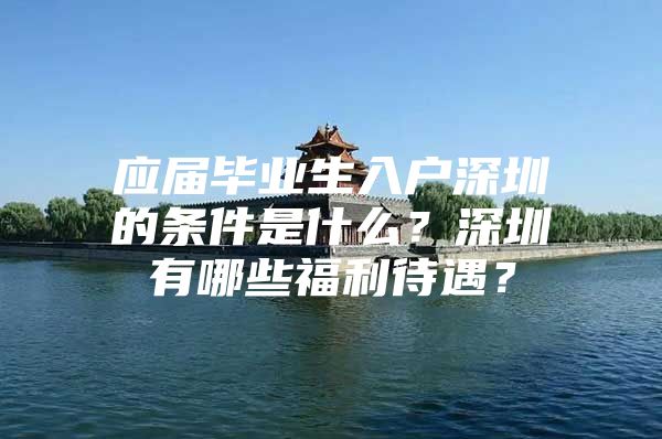 应届毕业生入户深圳的条件是什么？深圳有哪些福利待遇？