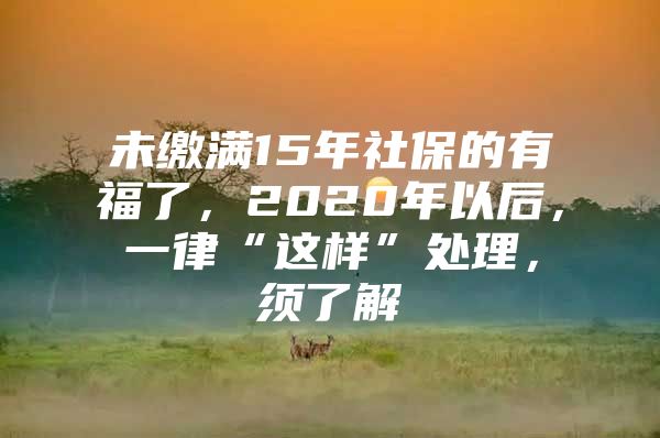 未缴满15年社保的有福了，2020年以后，一律“这样”处理，须了解