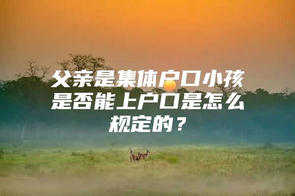 父亲是集体户口小孩是否能上户口是怎么规定的？