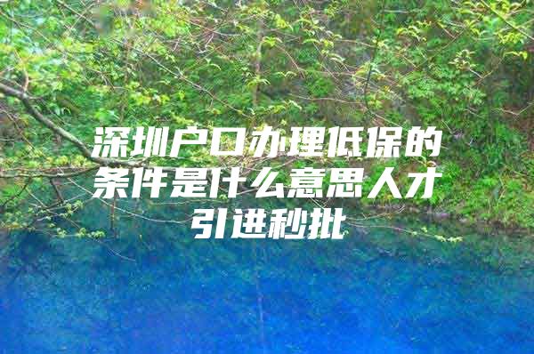 深圳户口办理低保的条件是什么意思人才引进秒批