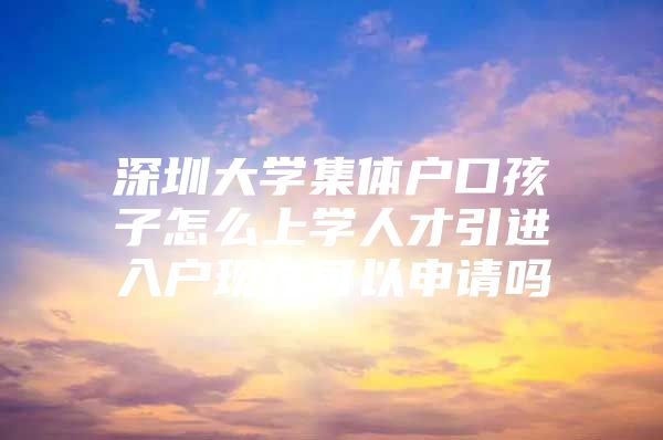 深圳大学集体户口孩子怎么上学人才引进入户现在可以申请吗