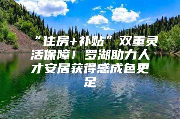 “住房+补贴”双重灵活保障！罗湖助力人才安居获得感成色更足