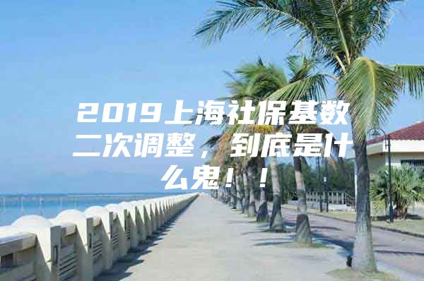 2019上海社保基数二次调整，到底是什么鬼！！