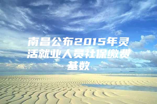 南昌公布2015年灵活就业人员社保缴费基数