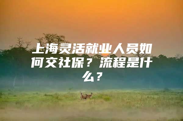 上海灵活就业人员如何交社保？流程是什么？