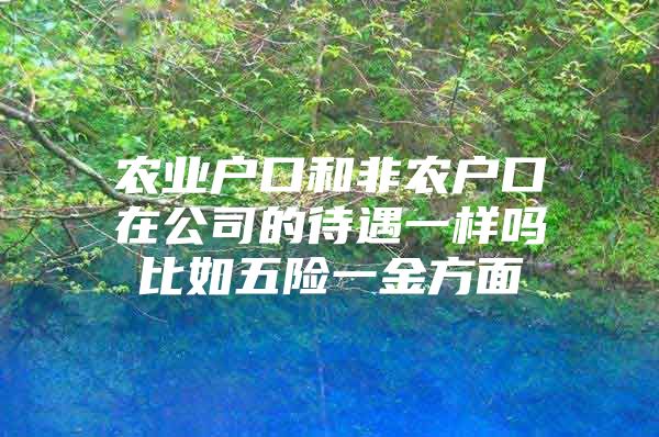 农业户口和非农户口在公司的待遇一样吗比如五险一金方面