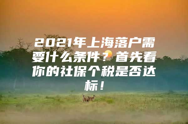 2021年上海落户需要什么条件？首先看你的社保个税是否达标！