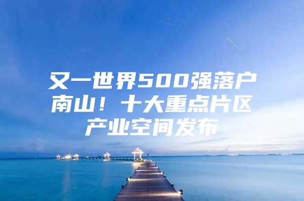 又一世界500强落户南山！十大重点片区产业空间发布