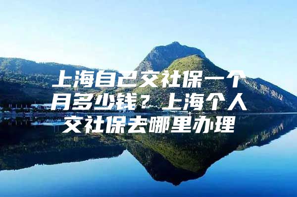 上海自己交社保一个月多少钱？上海个人交社保去哪里办理