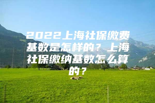 2022上海社保缴费基数是怎样的？上海社保缴纳基数怎么算的？