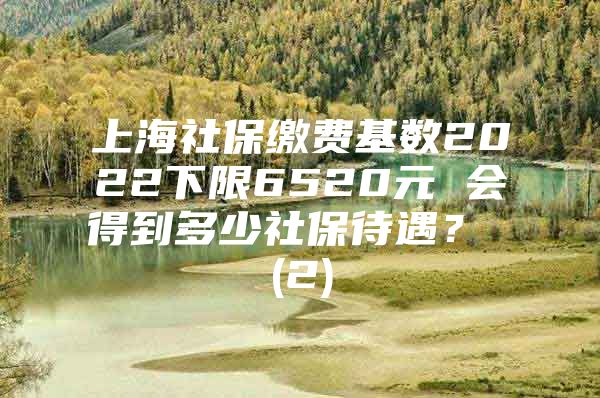 上海社保缴费基数2022下限6520元 会得到多少社保待遇？ (2)