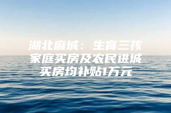 湖北麻城：生育三孩家庭买房及农民进城买房均补贴1万元