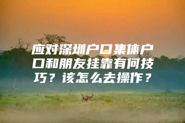 应对深圳户口集体户口和朋友挂靠有何技巧？该怎么去操作？