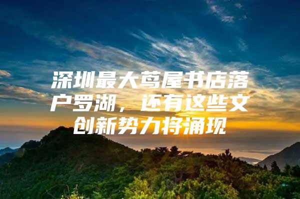 深圳最大茑屋书店落户罗湖，还有这些文创新势力将涌现