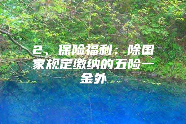 2、保险福利：除国家规定缴纳的五险一金外