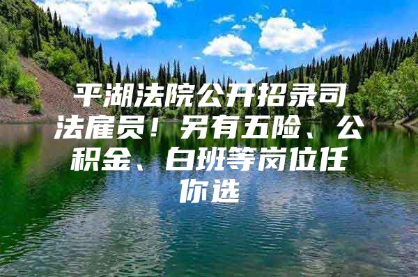 平湖法院公开招录司法雇员！另有五险、公积金、白班等岗位任你选