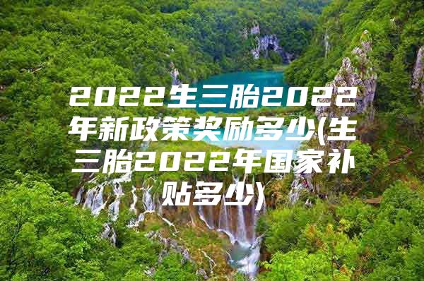 2022生三胎2022年新政策奖励多少(生三胎2022年国家补贴多少)